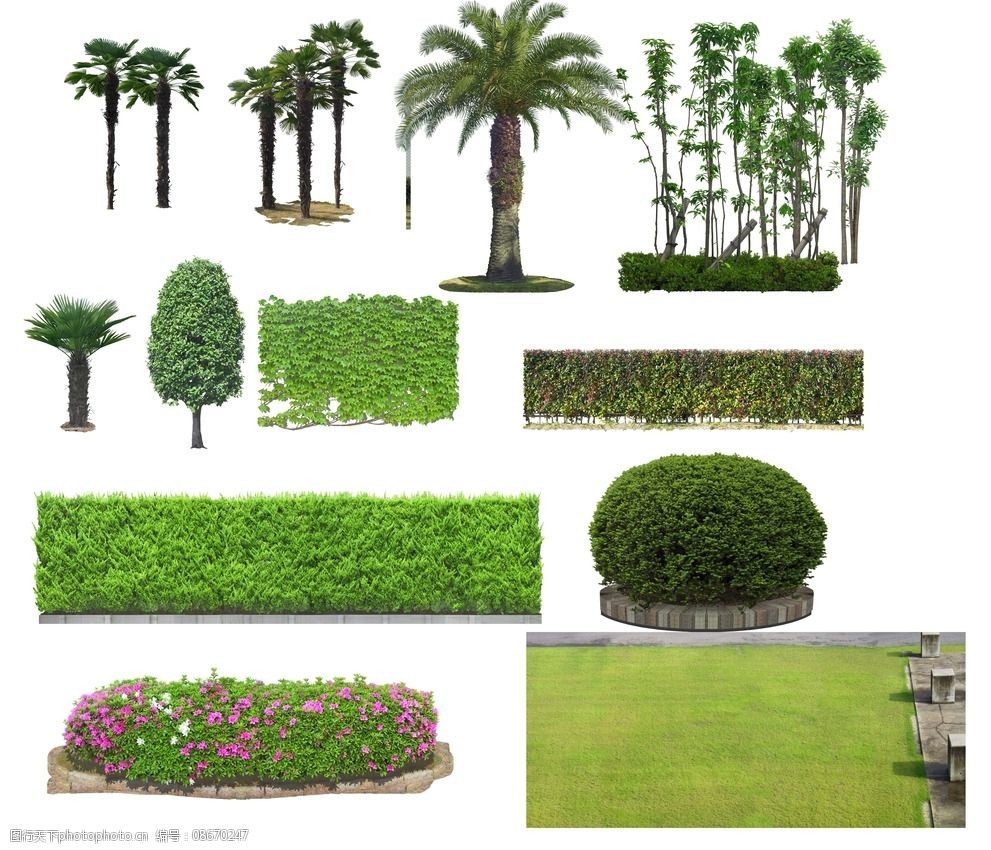 园林素材图片 园林绿化工程设计的视觉基石与创新灵感