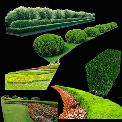 园林绿化工程中的视觉力量 以编号10416545图片素材为例