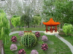 园林绿化工程 融合销售、贸易、公共服务与设计的全产业链探索