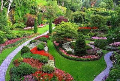 园林绿化工程全过程资料指南 从设计到验收的完整工序报验体系